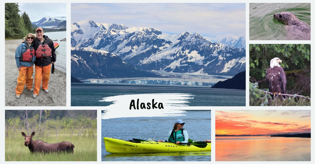 Collage of Alaska cruise adventure — kayaking, wildlife, glaciers, moose, eagles, and family photos — celebrating my 50th U.S. state.